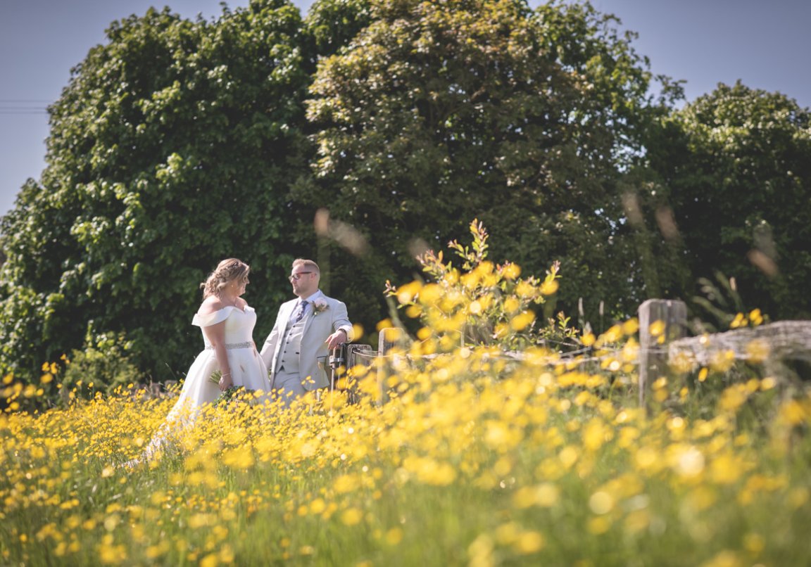 Pennard Hill Farm Wedding Photography