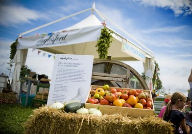 The Pop-Up Hotel at The Big Feastival Event Photography